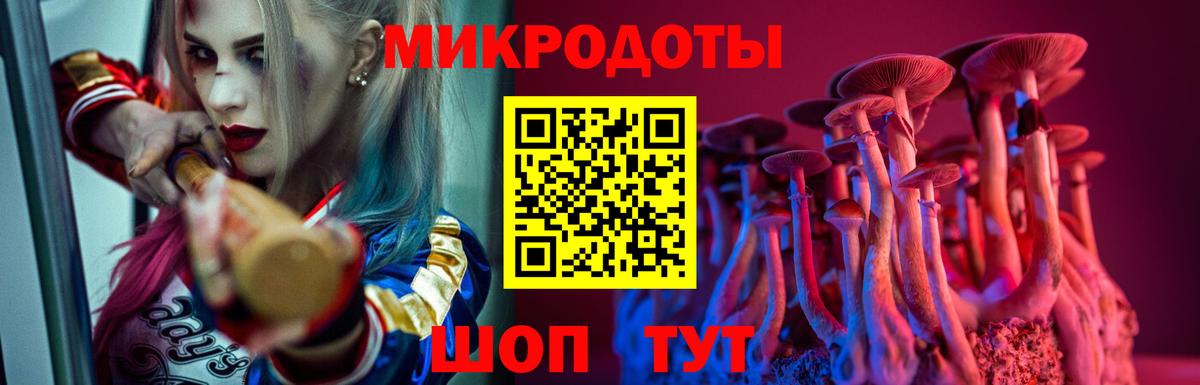Гай  Псилоцибиновые грибы прущие грибы  что такое   Вход с VPN 